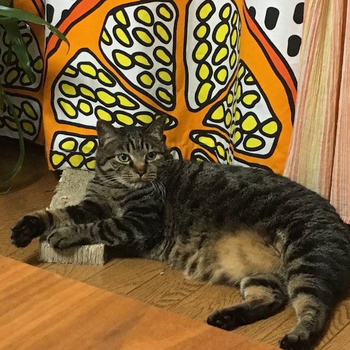 C07f5e95 4a4c 4c8a 9d30 e64d7640592d 1530675598397