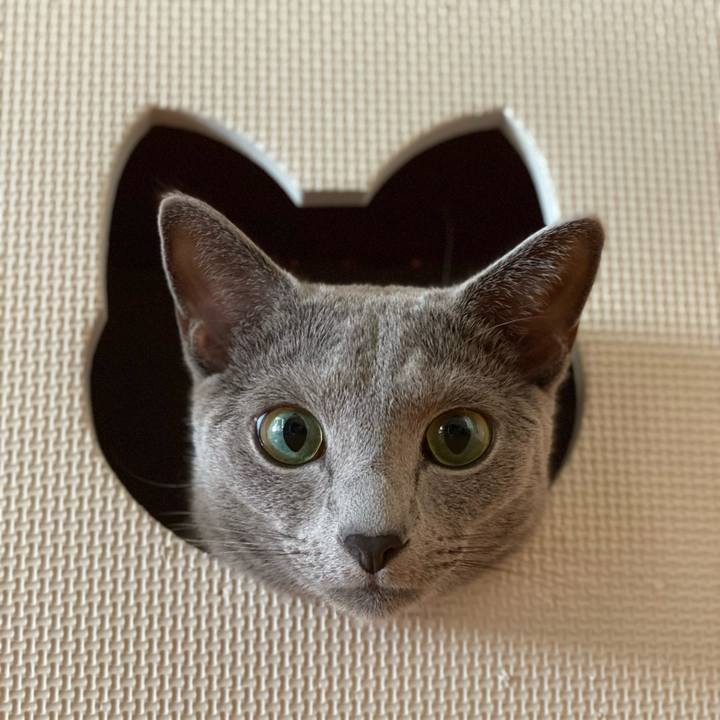 C07f83cd 1218 4026 9e93 24b940234ed6 1633147956430