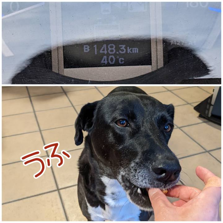 C07fd614 98bf 44ec b158 749fcd22dbe3 1656328454721