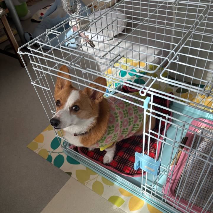 C07fec88 1632 4495 bc2f 9603ec5bd4ec 1769831067326