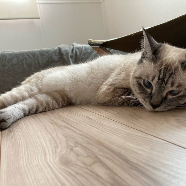 C07fed88 3b71 4b37 8265 53f63135eb61 1594514758927