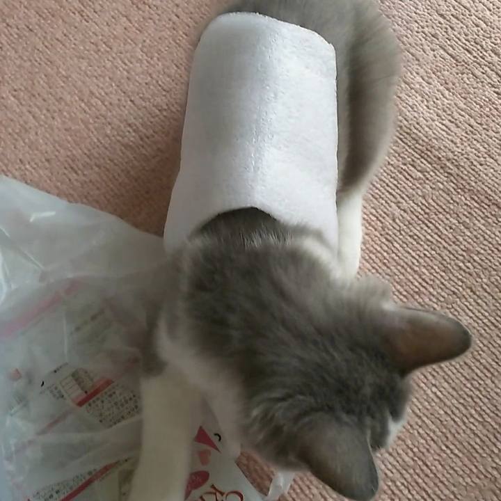 C08016fe a16d 450a bd06 b8fe7356237e 1566103308027