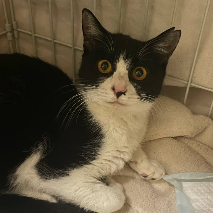 C080895e 5536 4e9f a103 e8ec52b8df11 1677687275940