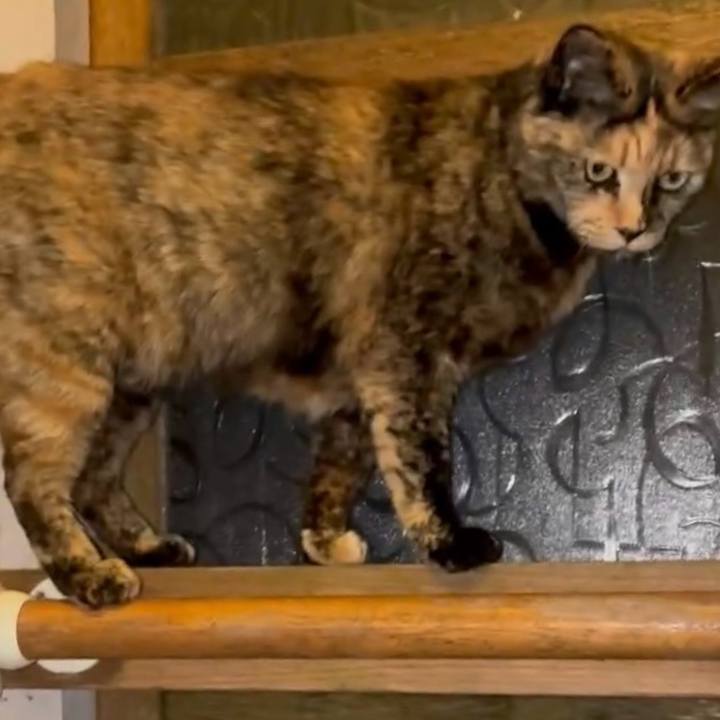 C080b060 1a5a 4ef8 b0bd c971a683542b 1745093252389