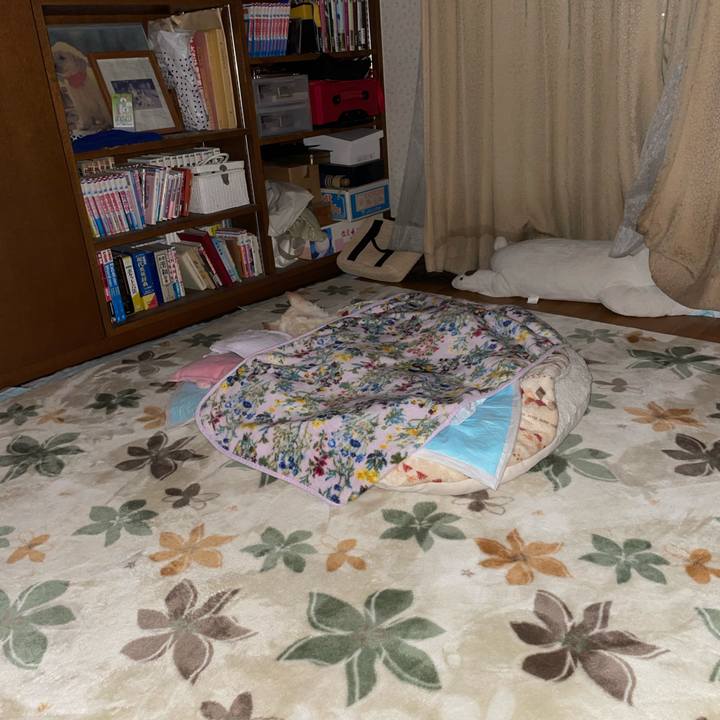 C080e5be 1175 48ac 8114 a61a30eafd45 1670939217300