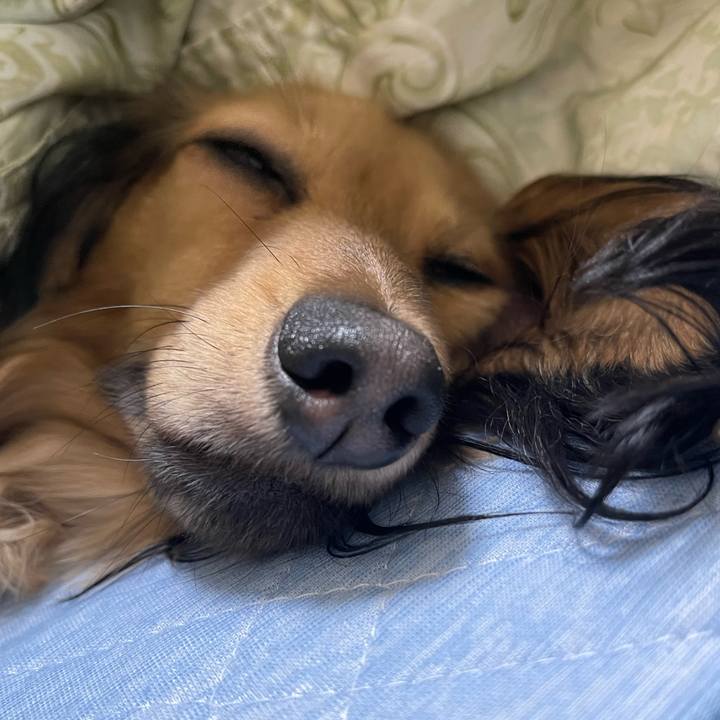 C080e97c aea1 421d b80c 8dd706d9b567 1666453038259