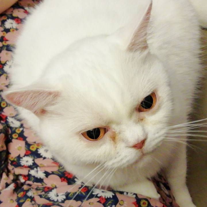 C0813bac 5840 4a95 a81d f1905338ae95 1601932834892