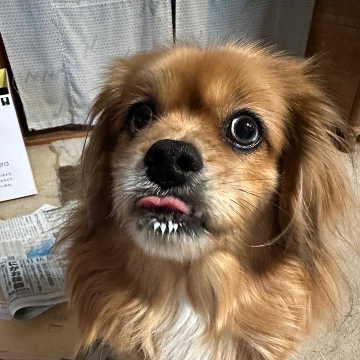 C0813fa6 dd73 444a 8564 2c4b1af53c9f 1676586081597