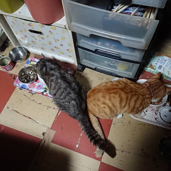 C0815346 febb 426b 8e03 d8376ddc7725 1565985264212