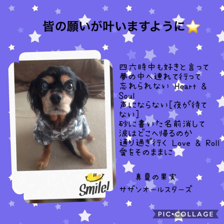 C0817ded e1ac 47a2 9dff 549af0ca3807 1562484593681