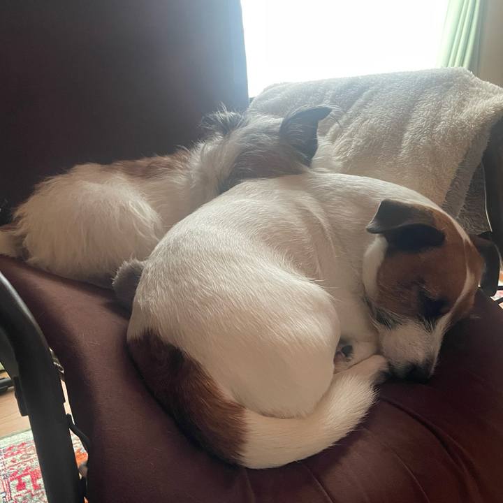 C0818851 535c 4b1b a214 4a6a8484bde8 1732669409700