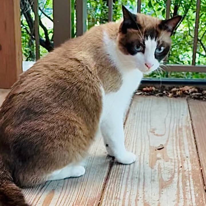 C081a162 270d 4b64 889d 9738e5f25c68 1753583149877