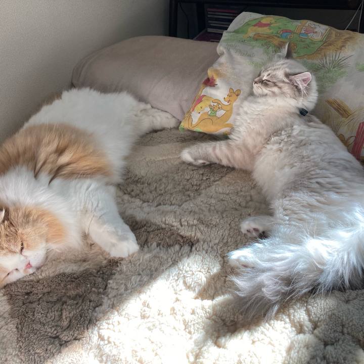 C081b8a1 4c07 4c66 865c 4d2e64af560f 1672288445021