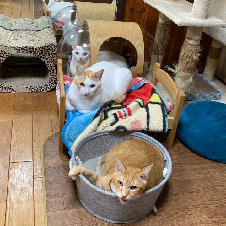 C0822e7a 6eaf 4379 8b36 c85f9cf45d94 1610018685349