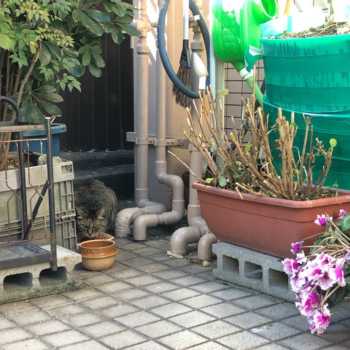 C0823018 c24a 48cf b026 9ebe9f598d3e 1612105529345