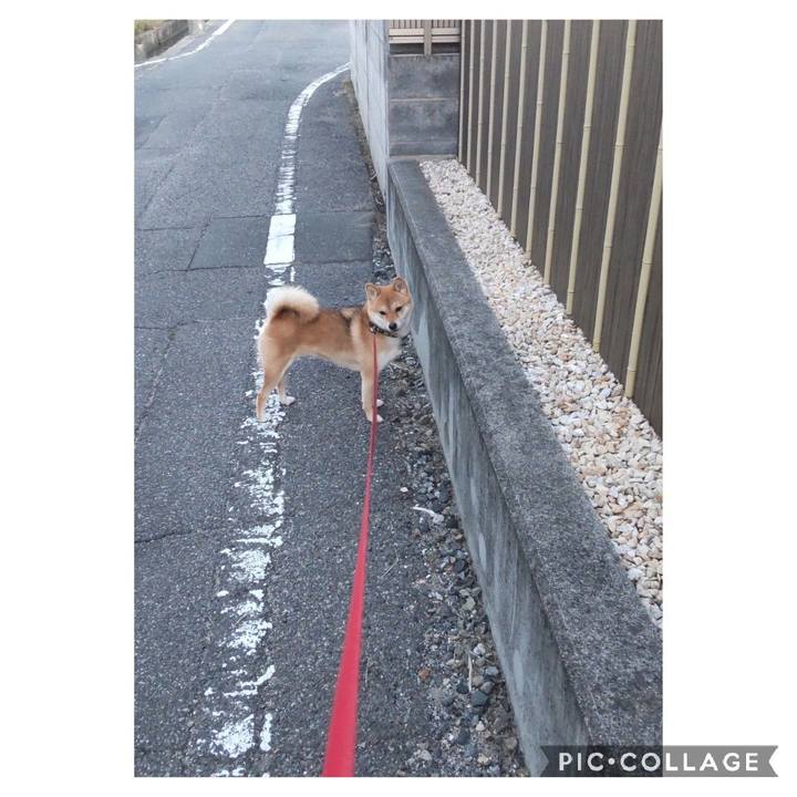 C0823e68 0bce 43d0 9062 5297e91621f0 1664058747530