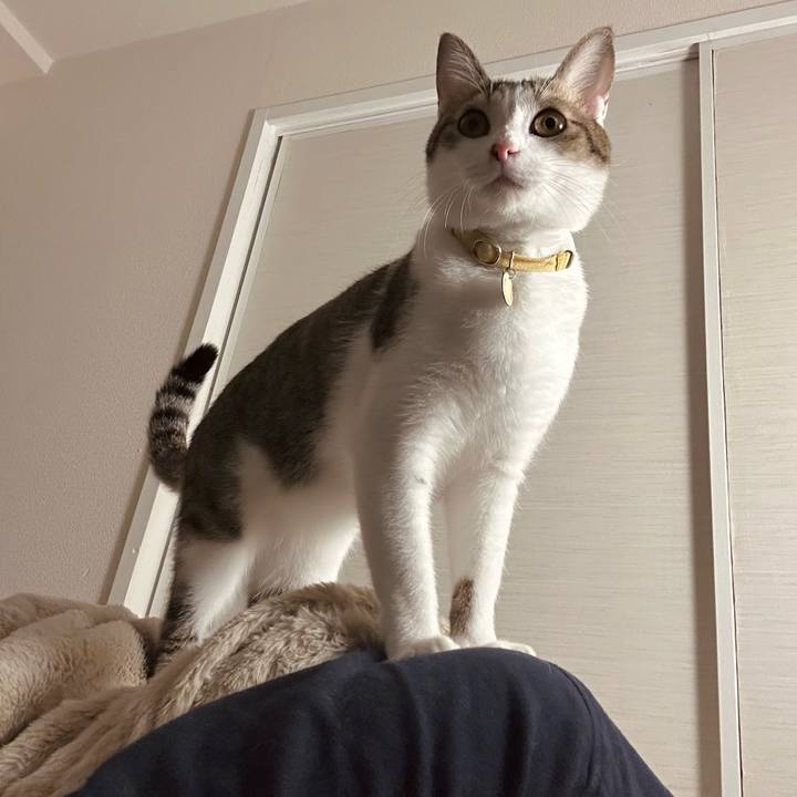 C0825a12 ee03 4fbd 9816 a5f93fb83f89 1763678970810