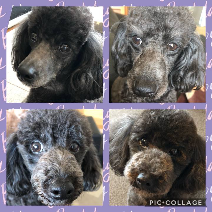 C08266e3 2b3a 4ec8 8699 c279becf5e68 1594007916504