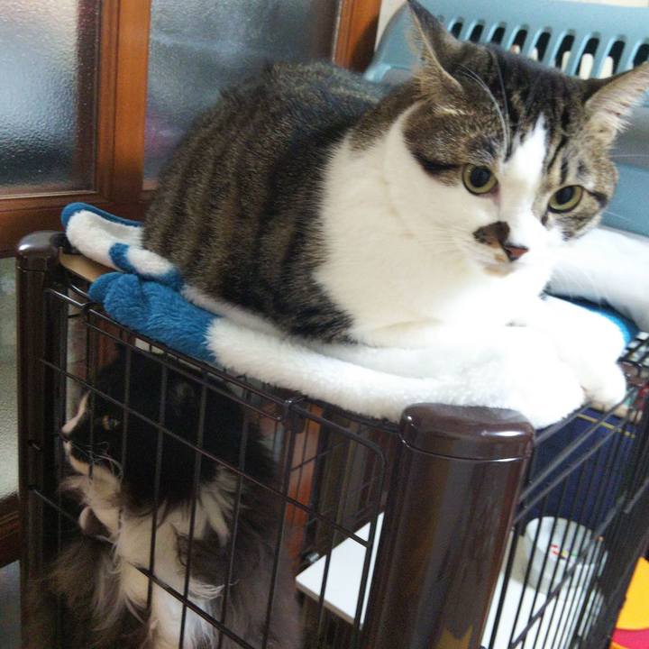 C0826cd9 4c5d 428d abcc cca278256c69 1665146634962