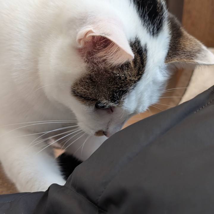 C082d4ca c618 47cf 85b1 94f3fd6bd594 1765783518886