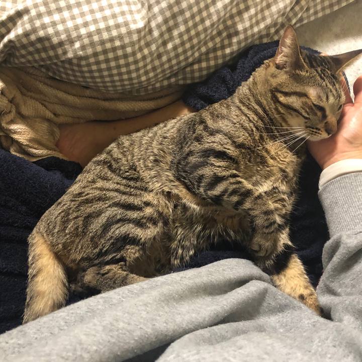 C082dee3 b1b3 4a69 953b 984ffbeed45a 1550328330031