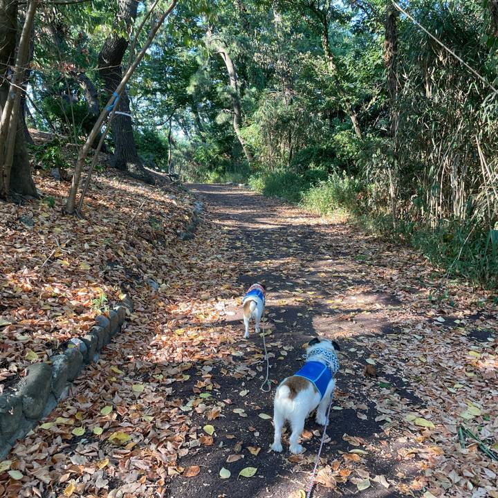 C082feb2 fdfa 4bed 8da2 6c67183486a7 1692660698112