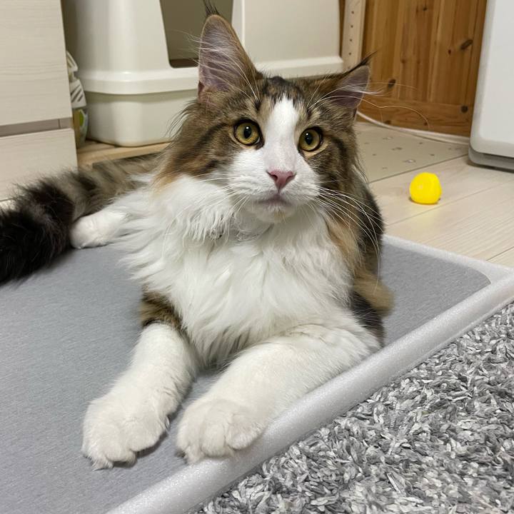 C0831125 54c3 4dc4 897e a886ac81d89a 1640555591013