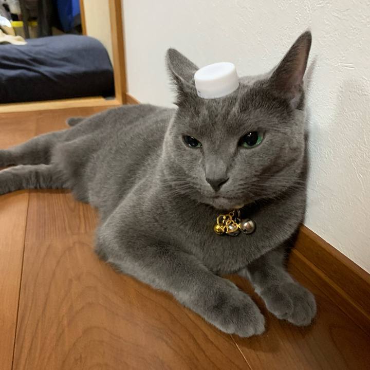 C08311ec 2e08 40d2 b666 df2f1d4ee0a6 1628398301374