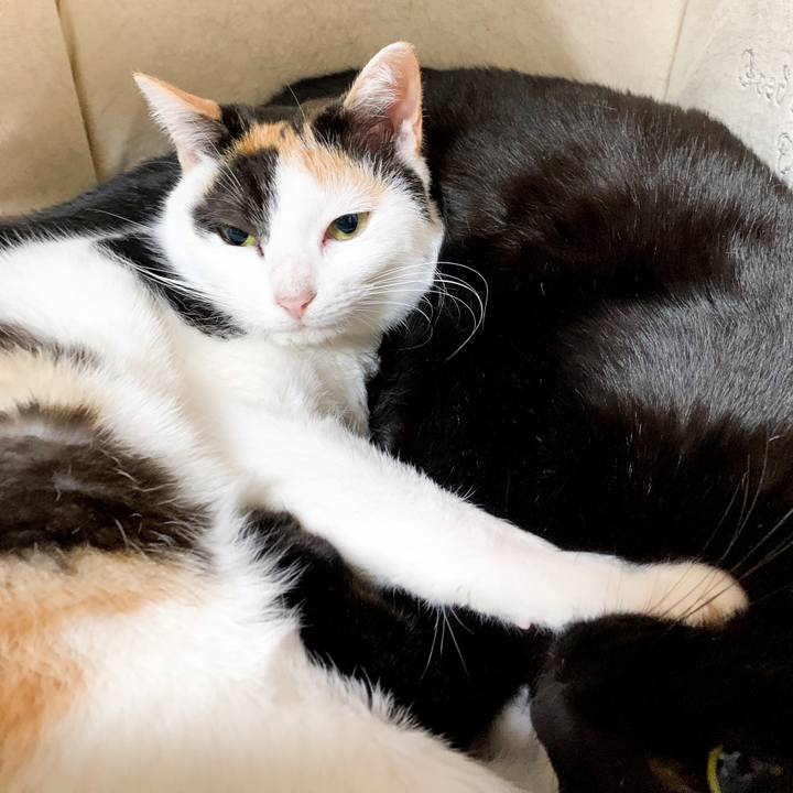 C0832728 ea92 4218 a104 215294bd03aa 1549418029229