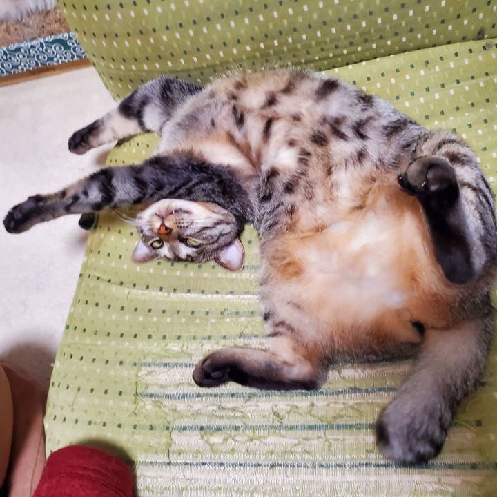 C08333ae 4cdd 4f6c 987e dea8996bf713 1703849724669