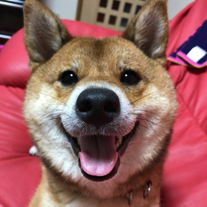 C0836c95 82bf 4476 970f 2dd19289cfcb 1561633508307