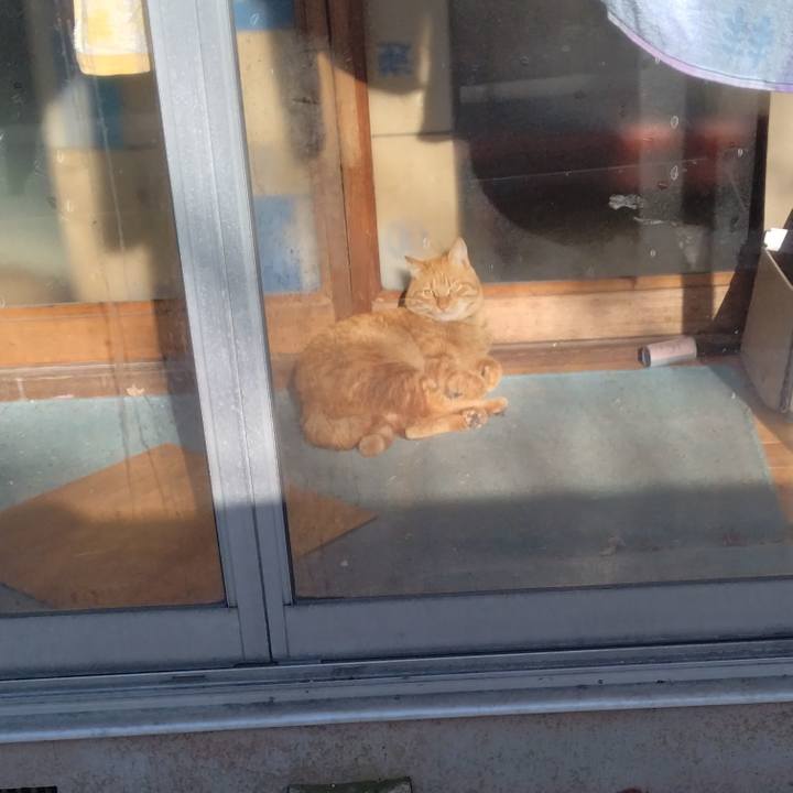 C0837c34 de26 4947 9650 bdd1f242db6e 1672193578987