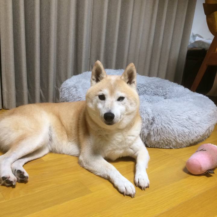 C0838894 1feb 4086 b184 920b88d11f99 1593866765384