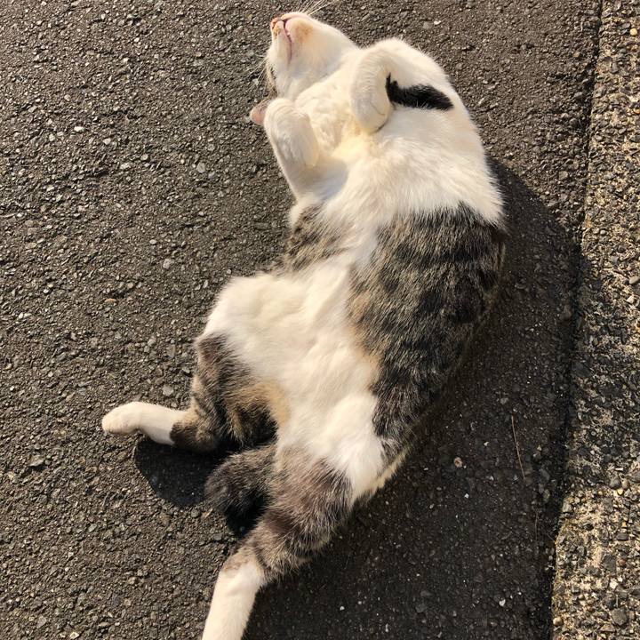 C083c89c b638 4c41 905c 99b8ce6b8df4 1601597877485