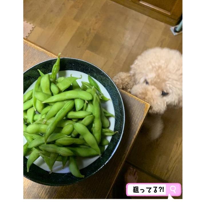 C083eac3 9d30 4c07 bab7 0e52bd17f703 1558609250599