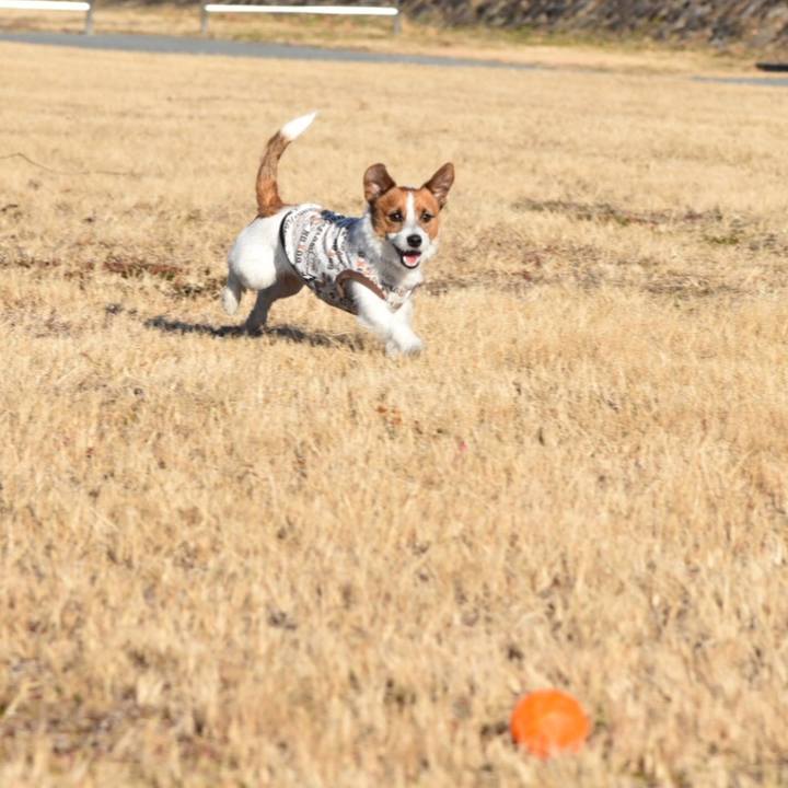 C083f9df d52f 45a6 9569 5a9e0b9681b6 1514641816350