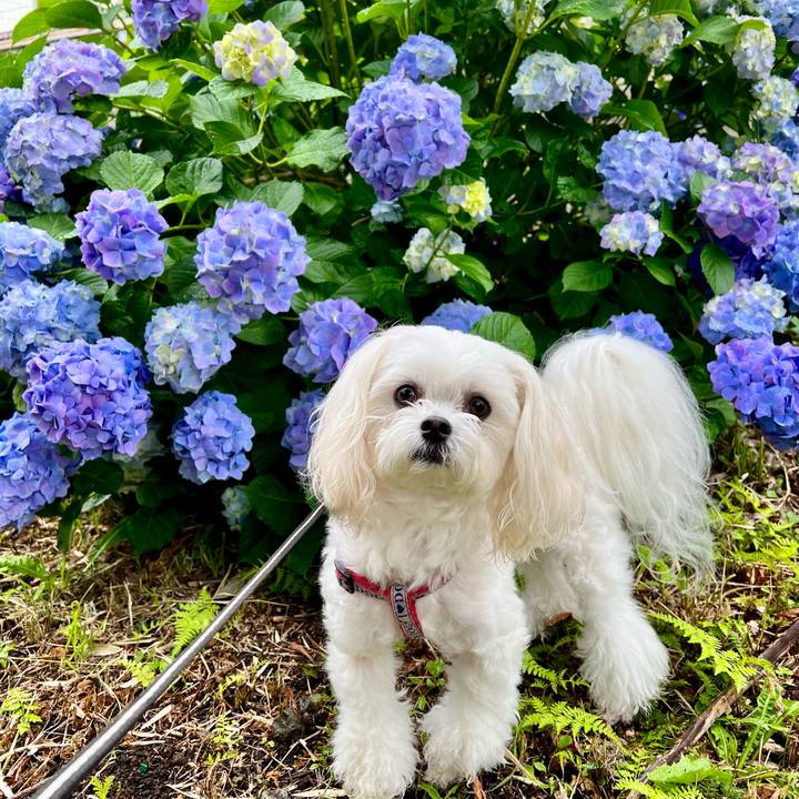 C0842d92 9a07 4d17 bc73 c89698a8f04c 1655172838104