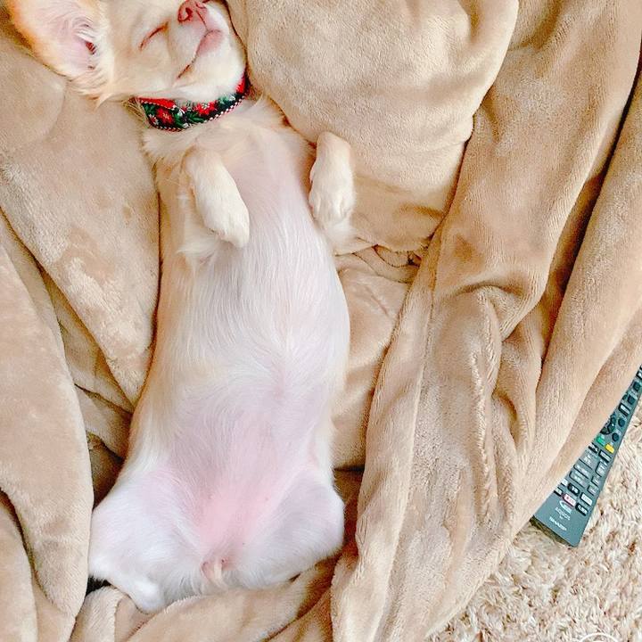 C0843e82 5759 4587 9e27 83de9b11b99d 1633587742468