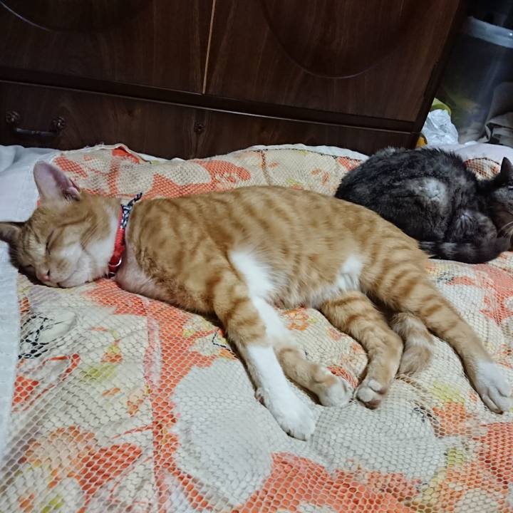 C0848cba c5fa 41e0 9c6b bffe57e677fe 1569240756684