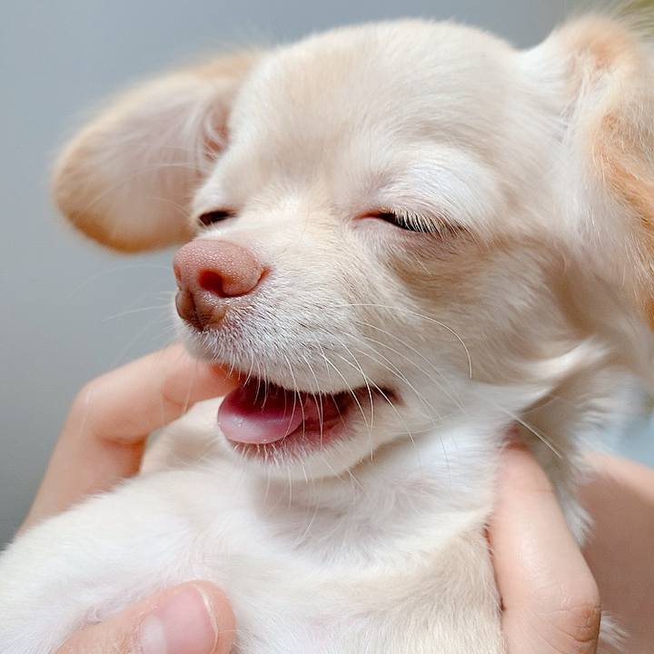 C0849337 f677 4f19 95cd 1189a1900d42 1596420560777