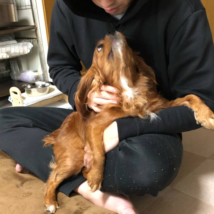 C0850fea 8e64 4894 8ac8 9cdee527ca95 1603923492739