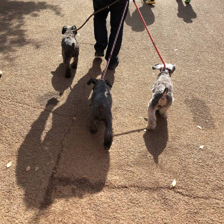 C08586cf 8b16 40ec af97 5b9602cbd7ac 1540689131808