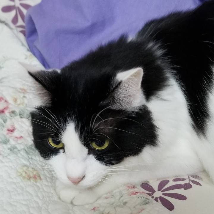 C085878c 2e93 4cbb a7d3 4430e040baf3 1574632275545