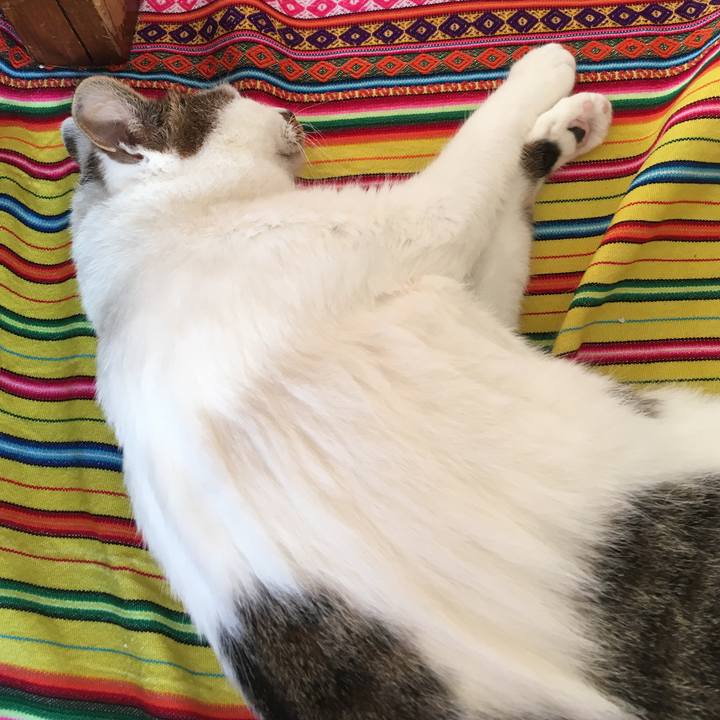 C0859565 e007 439d 9edd 3b97e4b75fd3 1515828323519