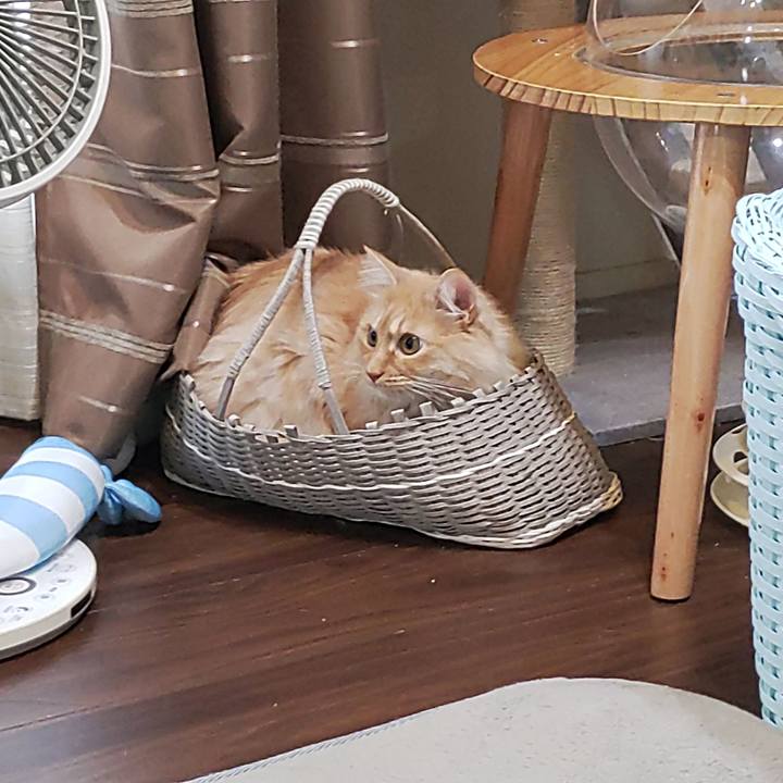 C0859de4 2de8 467e 92c5 b6d35a09ed32 1705737579034