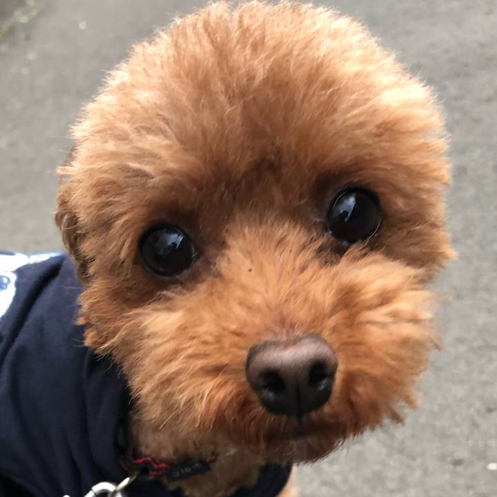 C085a89d e89d 44a2 ae54 98b424a1c6f0 1560770810824