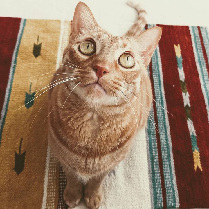 C085b30c 8672 448e a367 8dae4fdecd4b 1646001922310