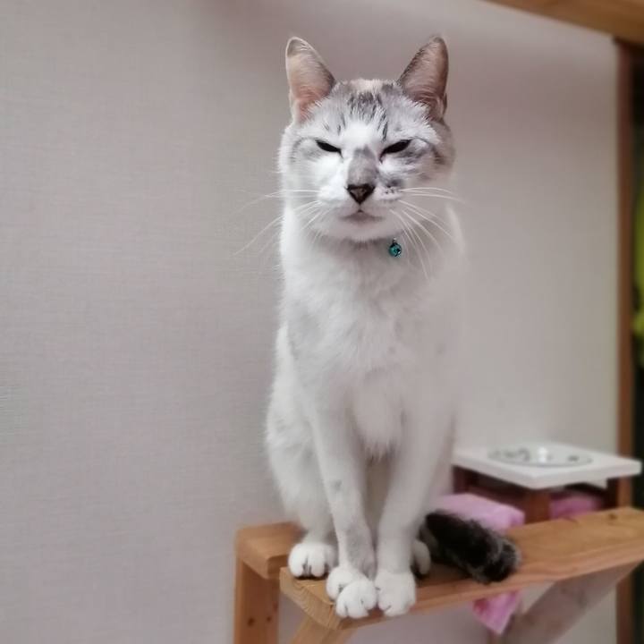 C085cbcd 9fa0 41f0 a00f f9940946593f 1581932400412