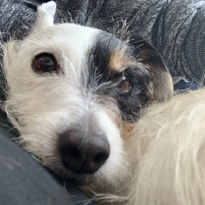 C0861edb b668 4860 8295 4f1ff9b863b8 1746146139508