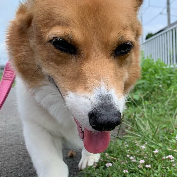 C0864792 d83e 4842 9265 94a17660b1ea 1721185145165